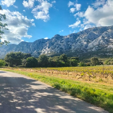 7-Hour Provence Wine Tour with Pétanque and Saint-Maximin Visit