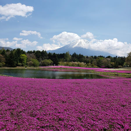 8-Hour Mount Fuji Day Trip with Lake Kawaguchi and 5th Station