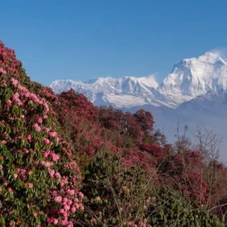 9-Day Ghorepani Poon Hill Trek in Nepal with Kathmandu Heritage Sites