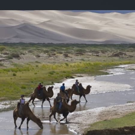 7-Day Gobi Desert Tour from Sergelen with Terelj and Local Flight
