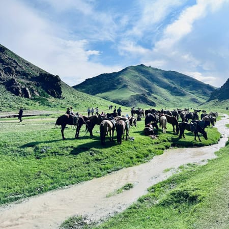 6-Day Gobi Desert and Terelj National Park Tour from Ulaanbaatar