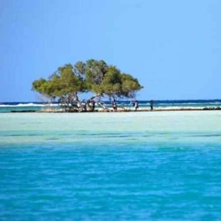 7-Hour Hamata Islands Snorkelling Tour from Marsa Alam with Lunch