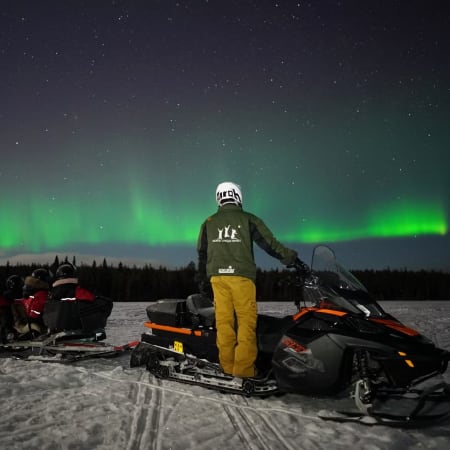 2-Hour Northern Lights Sleigh Ride in Rovaniemi with Campfire BBQ