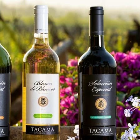 7-Hour Wine Tasting Tour in Ica with Tacama and Lovera Wineries