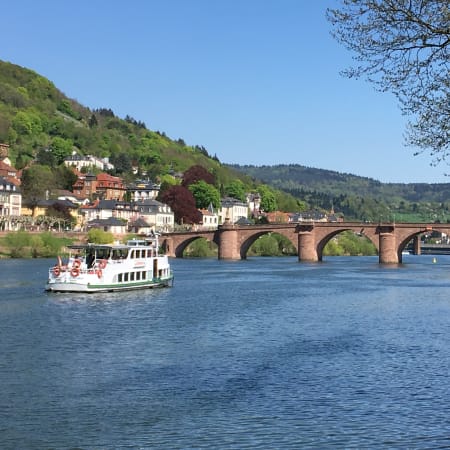 Full-Day Heidelberg Tour from Frankfurt with Castle and Old Town