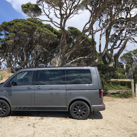 8-Hour Great Ocean Road Surf Tour with In-Water Coaching