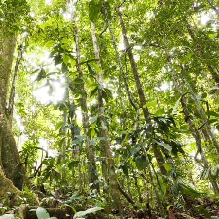 9-Day Peru Tour to Machu Picchu and the Amazon Rainforest
