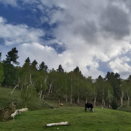 15-Day Skardu, Astore and Hunza Tour with Deosai and Khunjerab