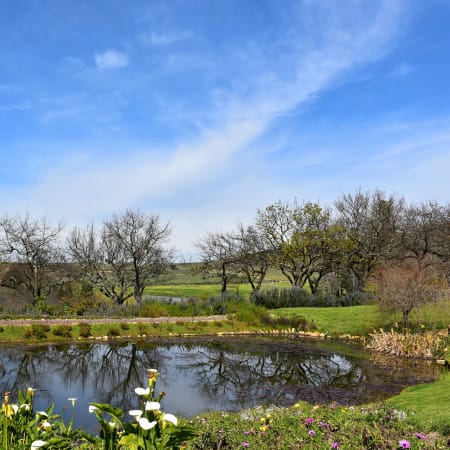 6-Day Cape Winelands Wine Tour with Your Choice of Scenic Routes