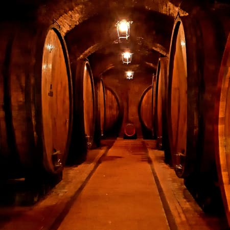 10-Hour Wine Tour of Val d'Orcia with Montepulciano and Montalcino