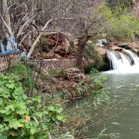Full-Day Ouzoud Falls Tour from Marrakech in the Atlas Mountains