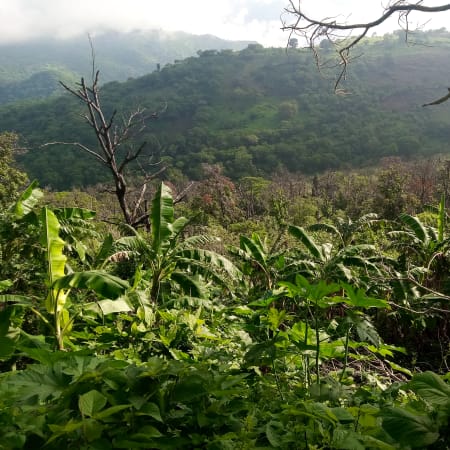 7-Hour Tequila Canyon Hike from Guadalajara with Los Azules and Tequila
