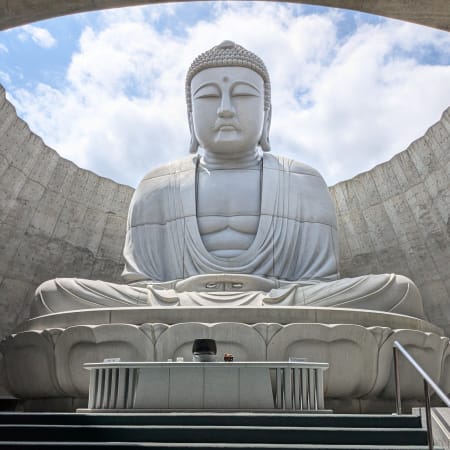 8-Hour Sapporo Hill of the Buddha Tour with JR Tower and Sake Tasting