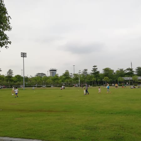 2-Hour Shenzhen Bay Beach Park Tour with Mangrove Forest Park