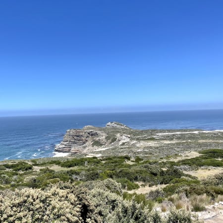 Full-Day Cape Point Tour from Cape Town via Chapman's Peak