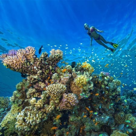 8-Hour Ras Mohamed Boat Trip from Sharm El Sheikh with White Island