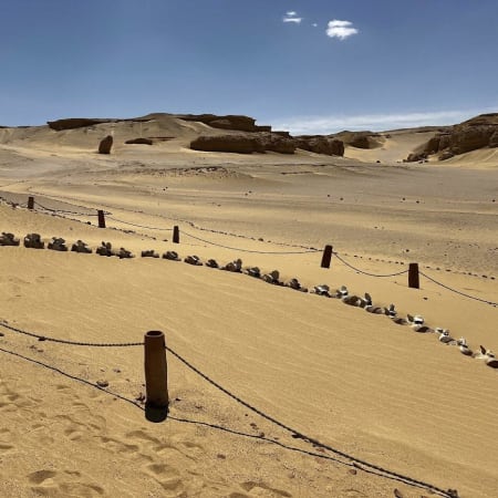 Full-Day Fayum Desert Adventure from Cairo with Wadi Al-Hitan