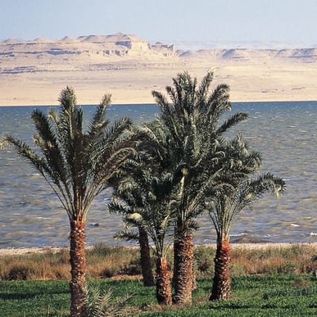10-Hour Faiyum Oasis Tour with Meidum and Hawara Pyramids