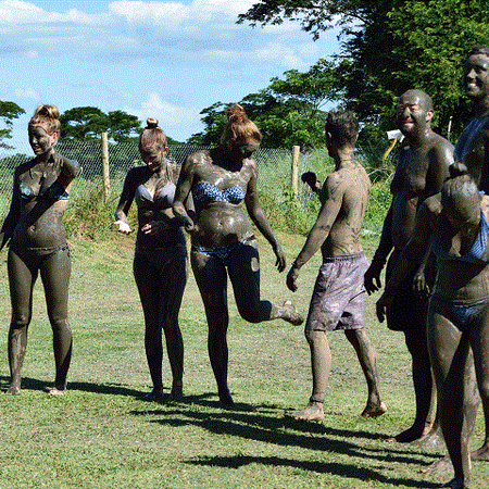 4-Hour Nadi Temple and Mud Pools Tour with Orchid Gardens