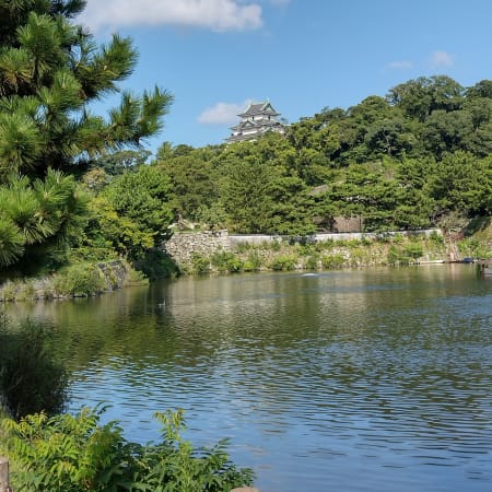 5-Hour Wakayama Castle Tour with Samurai Costume Experience