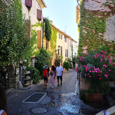 8-Hour Le Castellet, Cassis and Marseille Tour with Cape Canaille