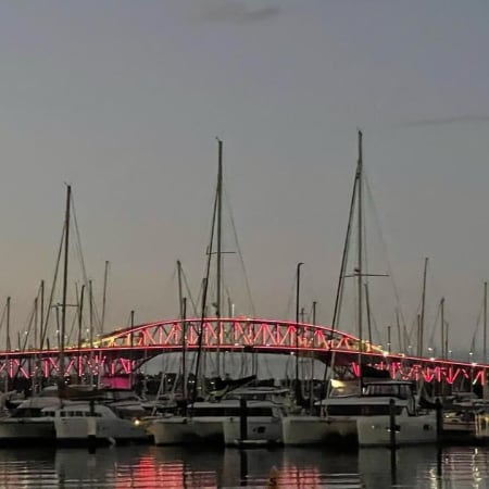 4-Hour Auckland City Highlights Tour with Māori Heritage and Volcanoes