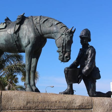 3-Hour Port Elizabeth Tour with Fort Fredrick and Donkin Reserve