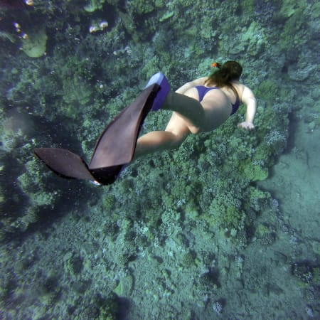 12-Hour Tulum Ruins and Riviera Maya Snorkelling Tour from Cancun