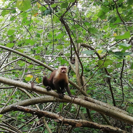 10-Hour Tayrona National Park Hike to Cabo San Juan with Snorkeling