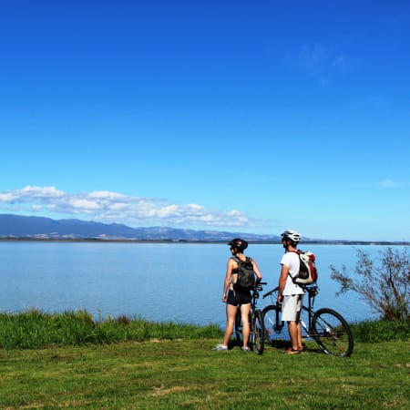 3-Day Remutaka Cycle Tour from Welligton