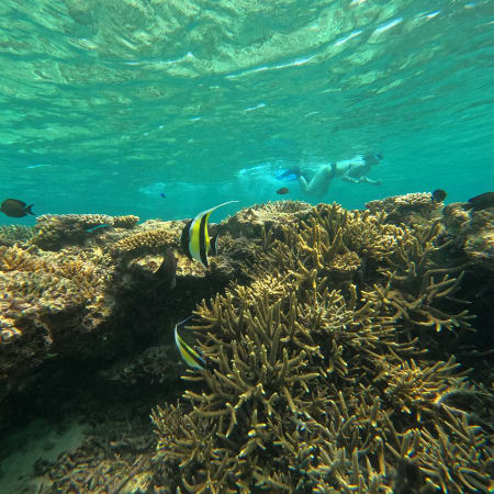 7-Hour Private Okinawa Nature Tour with Kayaking, Snorkelling and Hikes