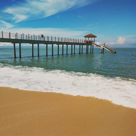 5-Hour Penang National Park Tour with Monkey Beach and Turtle Beach