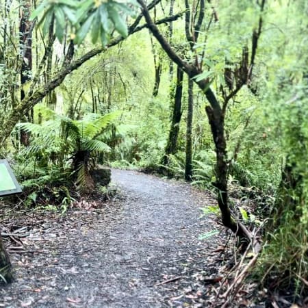 12-Hour Great Ocean Road Tour from Melbourne with Lunch and Small Group