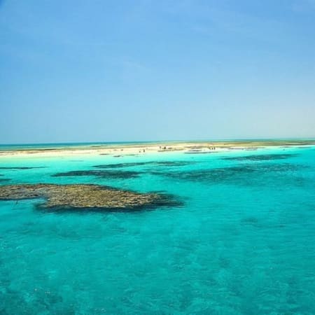 5-Hour Ras Mohammed National Park Snorkelling Tour from Sharm el-Sheikh
