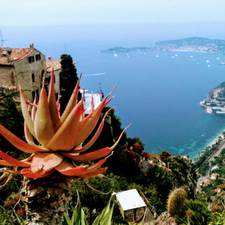 8-Hour French and Italian Riviera Tour with Menton, Dolceaqua and Eze