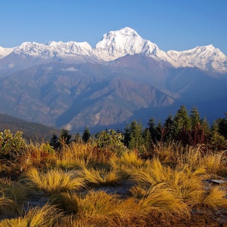 7-Day Poon Hill Trek from Kathmandu through Ghorepani and Ghandruk