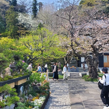 4-Hour Kamakura Temple Tour with Samurai History and Shogunate Insights