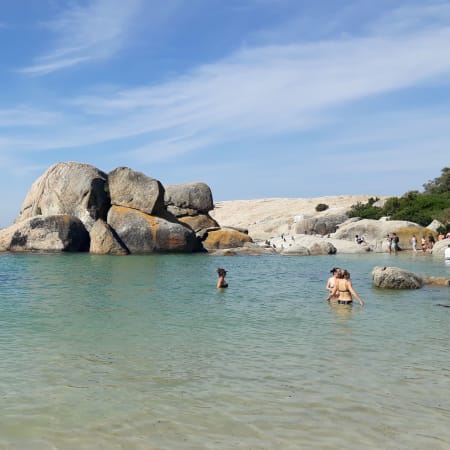 Full-Day Cape Town and Cape Peninsula Tour with Penguins and Views