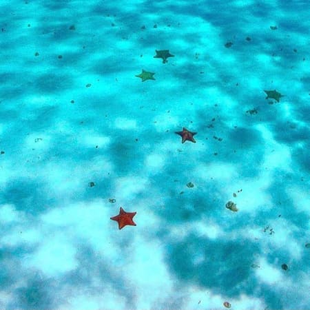 4-Hour El Cielo Snorkelling Tour in Cozumel with Stingrays