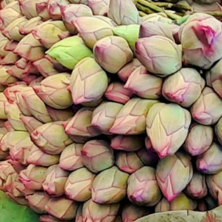 7-Hour Kolkata City Tour with Flower Market and Victoria Memorial