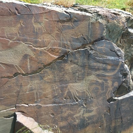 8-Hour Tamgaly Rock Art Tour from Almaty with UNESCO Petroglyphs