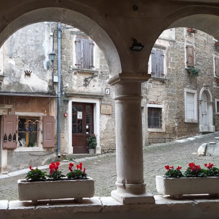 8-Hour Inner Istria Tour with Grožnjan, Motovun and Truffle Tasting