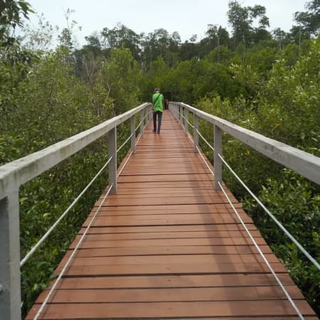 8-Hour Kukup and Tanjung Piai Tour with Seafood Lunch