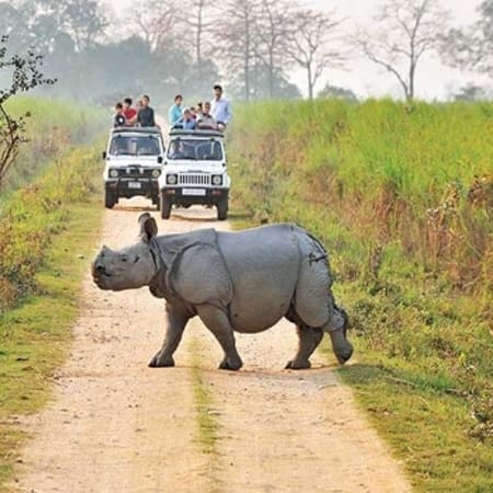 3-Day Nambor Wildlife Safari in Assam with Karbi Tribal Culture