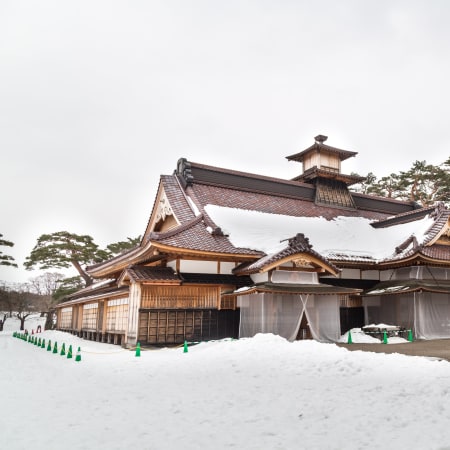 3-Hour Hakodate Goryokaku Walking Tour with Samurai History