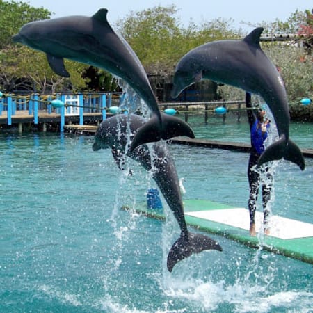 8-Hour Rosario Islands and Playa Blanca Tour with Aquarium Visit