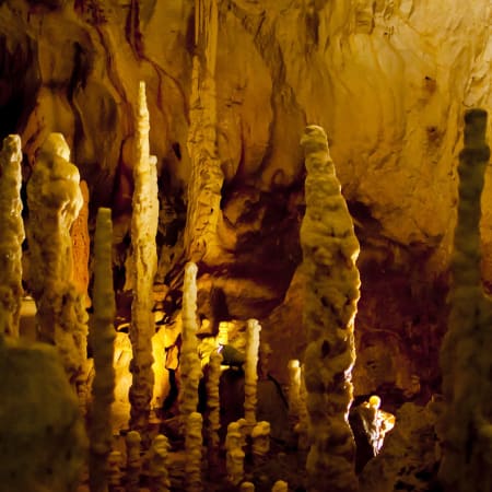 6-Day Padiș Trek from Cluj with Caves and Karst Wonders