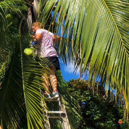 4-Hour Mexican Farm Experience in Cozumel with Toledo Ranch Cooking
