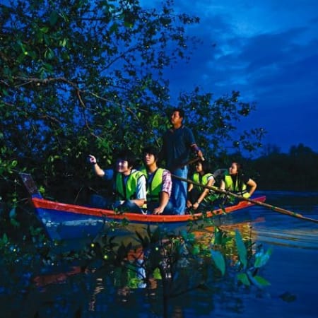 Full-Day Sekinchan and Kuala Selangor Tour with Fireflies Cruise