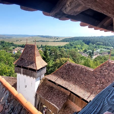 Full-Day Sighișoara and Viscri Tour from Brașov with UNESCO Heritage